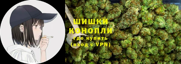 дмт Дмитровск