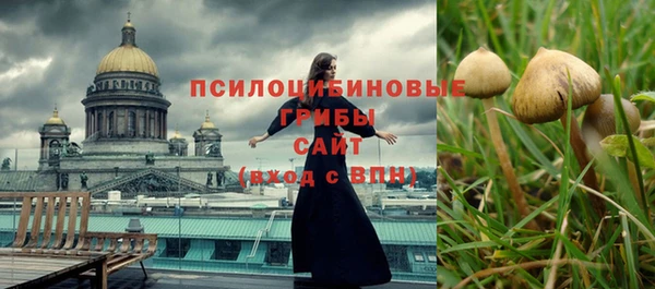метадон Дмитриев
