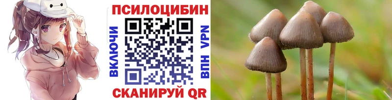 Галлюциногенные грибы Cubensis Иннополис